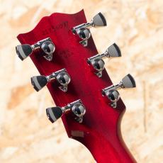 Gibson DOVE Original AN_9