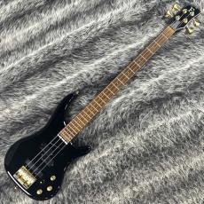 FERNANDES(フェルナンデス)、1990年代の検索結果1～12件【楽器