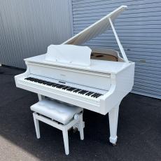 Roland GP609-PWS