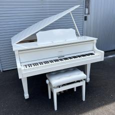 Roland GP609-PWS_2