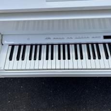 Roland GP609-PWS_5