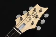 Paul Reed Smith [PRS] SILVER SKY Moc Sand Satin 2023  (Rosewood)_6
