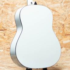 Taylor Custom C17e B5005_2