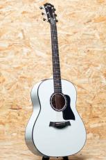 Taylor Custom C17e B5005_3
