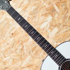 Taylor Custom C17e B5005_6