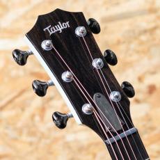 Taylor Custom C17e B5005_8