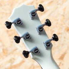 Taylor Custom C17e B5005_9