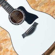 Taylor Custom C17e B5005_11