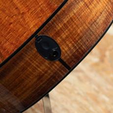 Taylor Custom C14ce B5028_10