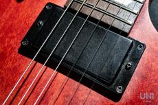 Gibson LPJ / 2013_5