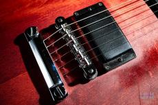 Gibson LPJ / 2013_6