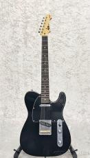 FUJIGEN NTE100RAL BK【G250009】【3.50kg】_3