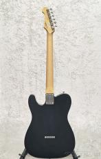 FUJIGEN NTE100RAL BK【G250009】【3.50kg】_4