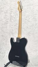 FUJIGEN NTE100RAL BK【G250009】【3.50kg】_6