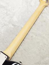 FUJIGEN NTE100RAL BK【G250009】【3.50kg】_8