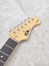 FUJIGEN NTE100RAL BK【G250009】【3.50kg】_9