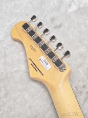 FUJIGEN NTE100RAL BK【G250009】【3.50kg】_10
