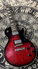 Gibson ~Dealer Select~ 1959 Les Paul Standard Red Tiger Burst Ebony Back VOS_3
