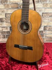 Hofner カール・ヘフナー Classic Series HZ25 杉単板・マホガニー_3