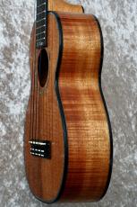 Kamaka HF-2D2 #260167【110 Years】【Curly Hawaiian Koa】【Concert】_10