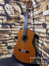 Juan Hernandez [ホアン・エルナンデス] 2019年製 Model:Maestro C 杉・ハカランダ Lattice【日本総本店2F 在庫品】