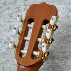 Jose Ramirez Estudio 140 CWE 【2024年製 中古品】【USED】【杉/ローズウッド】 【エレガット】_6