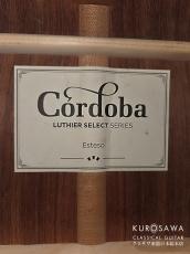 Cordoba コルドバ Esteso エステソ 2020年代 松・パーフェロー【日本総本店2F在庫品】_4