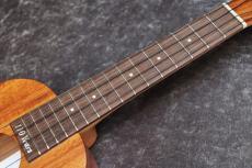 Kamaka  【待望入荷!】HF-2 #260219 【110th Anniversary仕様】【コンサート】【良鳴り!】【池袋店在庫品】_9