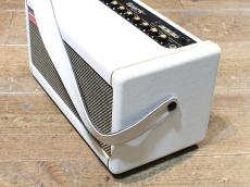 Positive Grid Spark 40_2