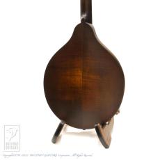 Eastman MDO-305 (Octave Mandolin) 【セール開催中!36回無金利対象品】_4