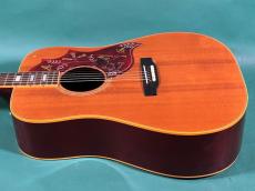 Gibson HUMMINGBIRD NT_4