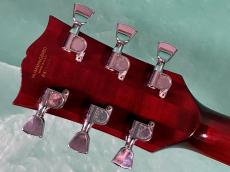Gibson HUMMINGBIRD NT_6
