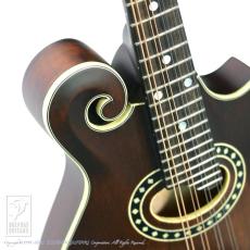 Eastman MD-314【セール開催中!36回無金利対象品】_7
