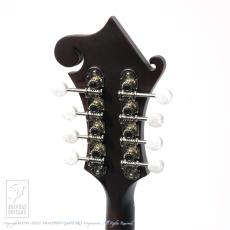 Eastman MD-314【セール開催中!36回無金利対象品】_11