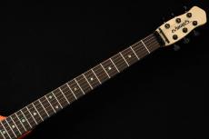 Edwards E-RS-ANIMAL -Orange Tiger- 【限定復刻生産】_4