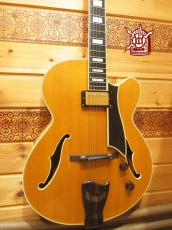 Fender Japan D'Aquisto Elite