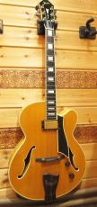 Fender Japan D'Aquisto Elite_2