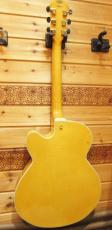 Fender Japan D'Aquisto Elite_3