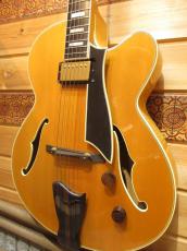 Fender Japan D'Aquisto Elite_5