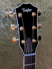 Taylor Custom 614ce Florentine -Koi Blue- # 1205145104【48回迄金利0%対象】【送料当社負担】_4
