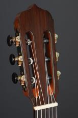 Echizen Guitars Jazz Nylon _6