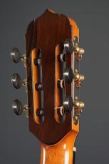 Echizen Guitars Jazz Nylon _8