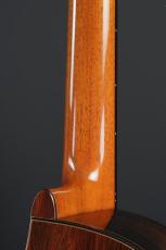 Echizen Guitars Jazz Nylon _9