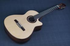 Echizen Guitars Jazz Nylon _11