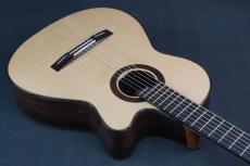 Echizen Guitars Jazz Nylon _13