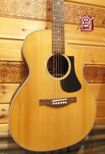 Eastman PCH2-GACE
