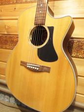 Eastman PCH2-GACE_4