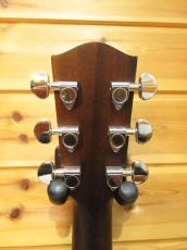 Eastman PCH2-GACE_6