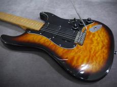 Valley Arts Custom Pro M Series