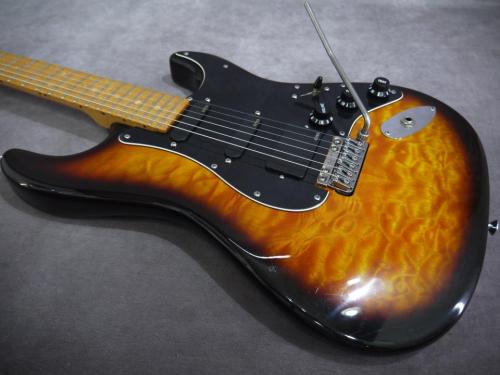 Valley Arts Custom Pro M Series